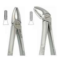 Kit, 10 οδοντάγρες μονίμων