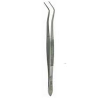 Βαμβακολαβίδα