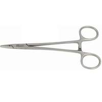 Βελονοκάτοχο