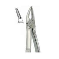 Ριζάγρες μονίμων