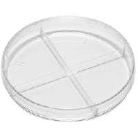 Τρυβλίο με χωρίσματα