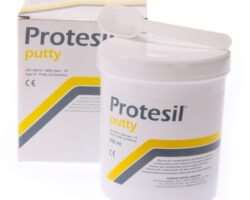 Protesil Putty 900ml