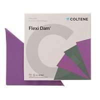 FLEXI DAM